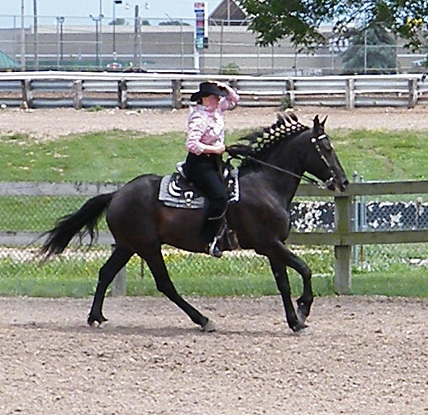 Friesian Heritage Horse Show
